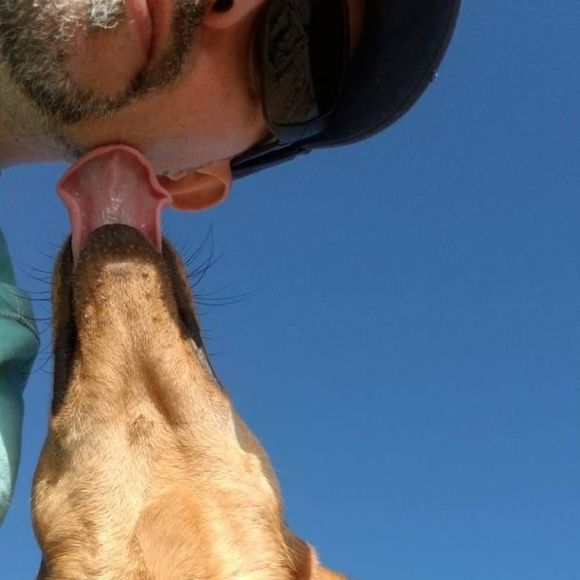 Meet your Posher, Pavlik - Picture 1 of 1